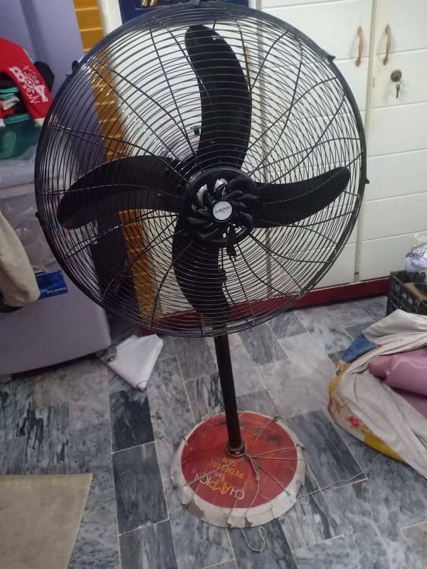 Pedestal Fan 3