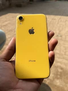 iPhone XR