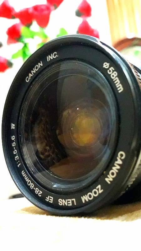 canon 28-80 mm Ultrasonic lense 4