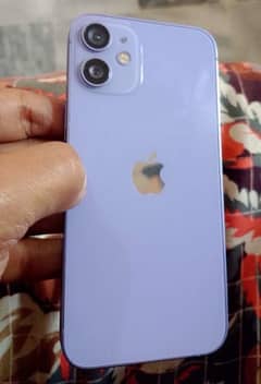 Urgent sale : IPhone 12Mini  256gb non approved All ok waterpack