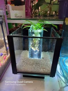 Betta Boxes / Fish Aquarium for sale