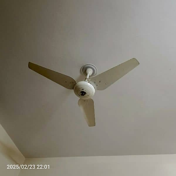 Ceiling Fan Pak fan company 56 inches. . . 0