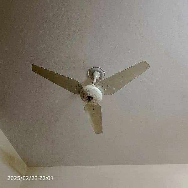 Ceiling Fan Pak fan company 56 inches. . . 1