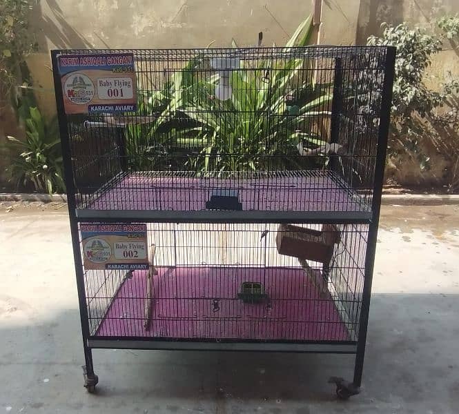 Birds Cage 1