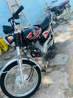 Honda 125 2024