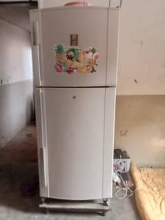 fridge