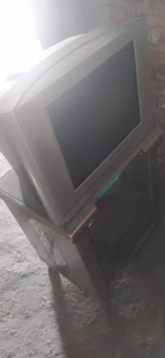 Television