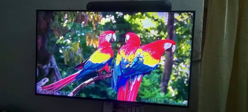 Samsung 43in Crystal UHD 4k Ultra Smart led tv for sale 4