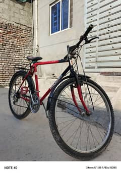 Phoenix bicycle for sale