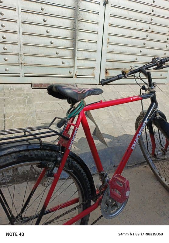 Phoenix bicycle for sale 6