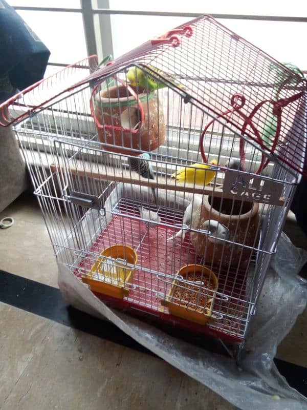 4 pair of parrots with cage 0