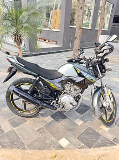 Yamaha YBR 125 2024