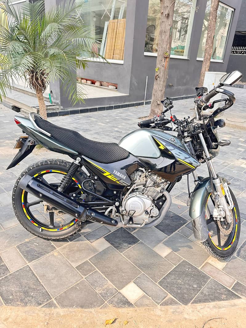 Yamaha YBR 125 2024 0