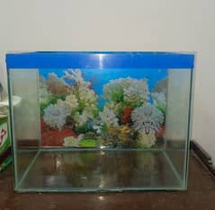 2 feet aquarium available for sale