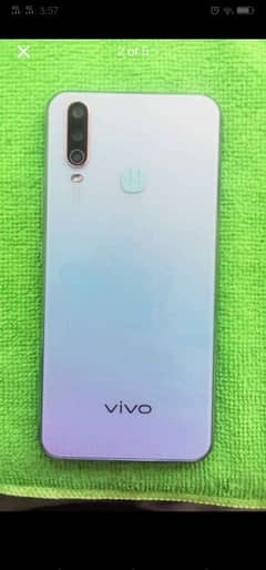 vivo