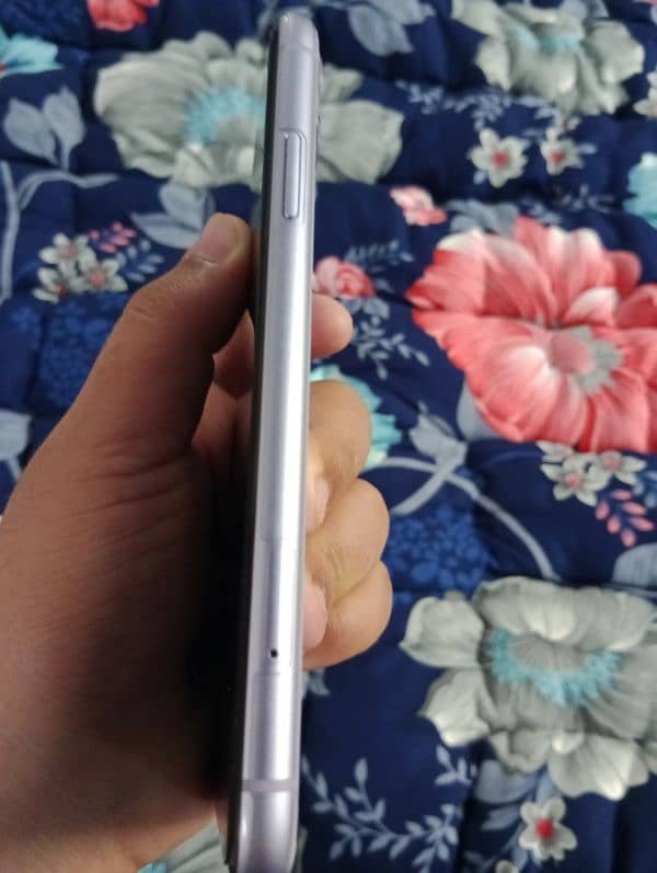 iphone 11 purple colour 2