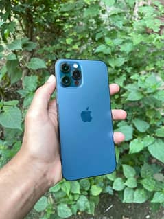 iphone 12 pro 128gb pta approved