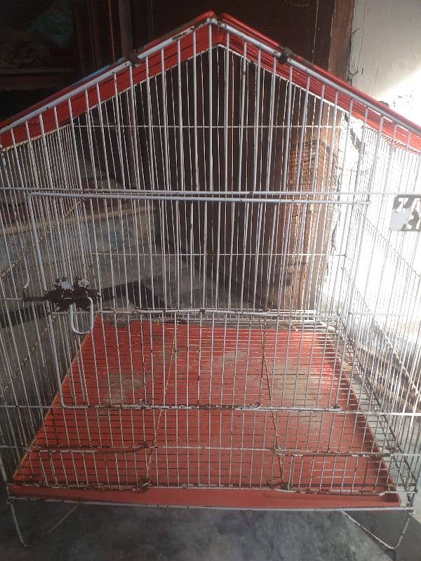 parrot cage bs thora paint utra ha baki ok ha 03274990921 1