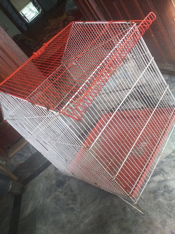 parrot cage bs thora paint utra ha baki ok ha 03274990921 2