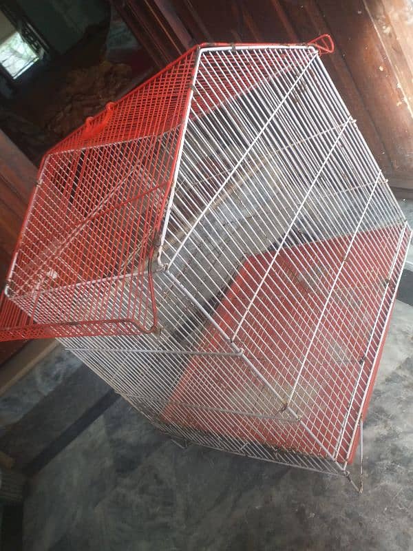 parrot cage bs thora paint utra ha baki ok ha 03274990921 3