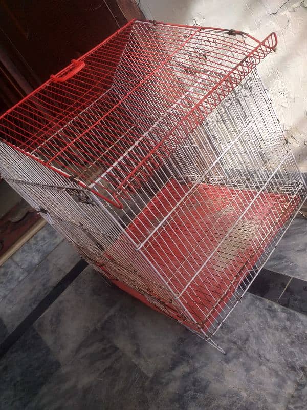 parrot cage bs thora paint utra ha baki ok ha 03274990921 4