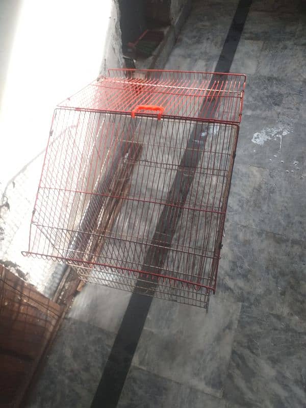 parrot cage bs thora paint utra ha baki ok ha 03274990921 5