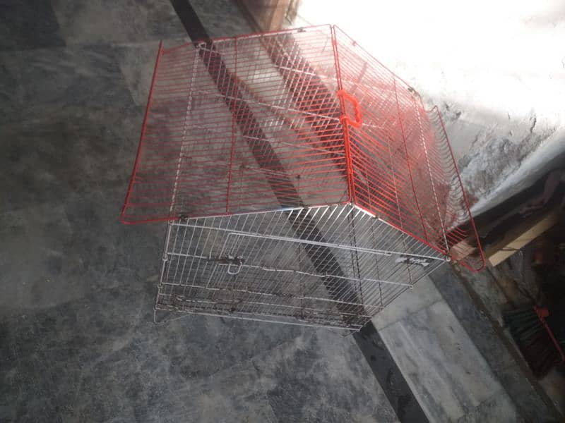 parrot cage bs thora paint utra ha baki ok ha 03274990921 6