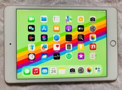 ipad mini 5