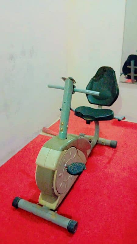 Laddies Gym & Saloon For Sale (Urgent) 8