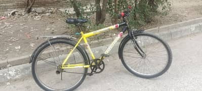 sport bicycle