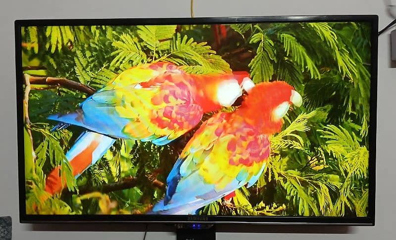 Samsung Led tv (brand new card installed in i zone) 6