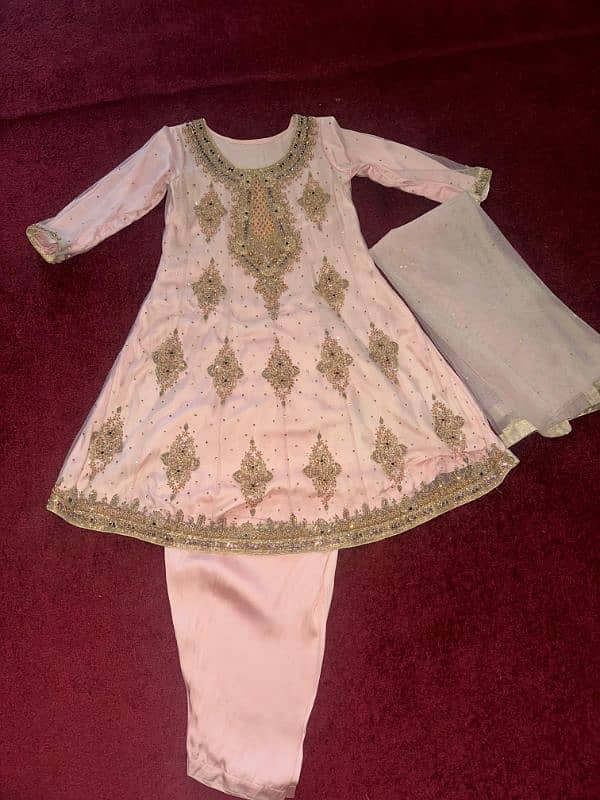 net heavily fancy frock with silk lining 2