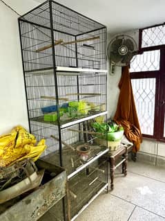 Lovebirds cage