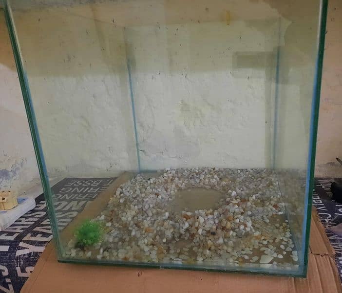 Fish aquarium For sale 1.5x1.5 square 0