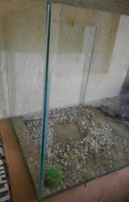 Fish aquarium For sale 1.5x1.5 square 1