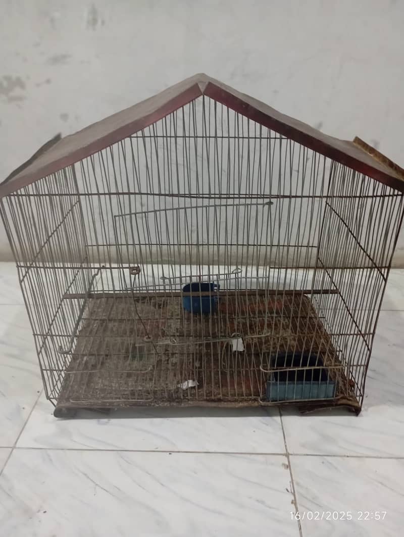 SINGLE CAGE FOR SALE 0