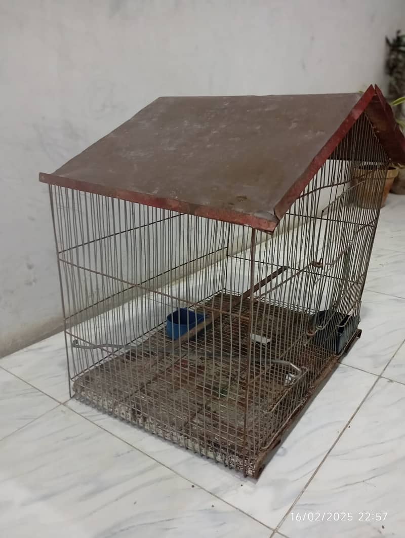 SINGLE CAGE FOR SALE 1