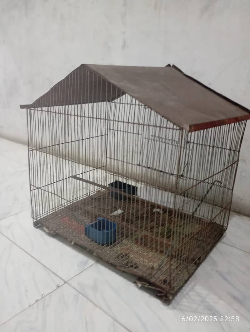 SINGLE CAGE FOR SALE 3