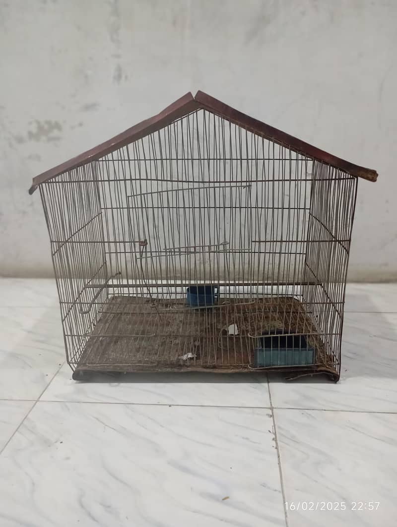 SINGLE CAGE FOR SALE 4