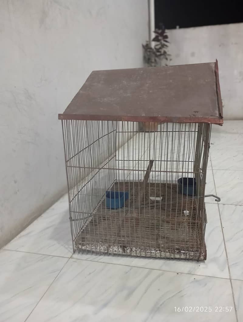 SINGLE CAGE FOR SALE 5