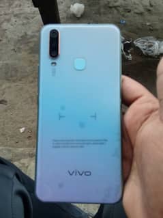 vivo