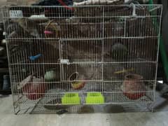 Birds cage for sale