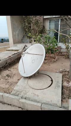 dish for sale