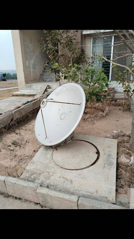 dish for sale 0