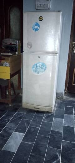 PEL Refrigerator