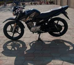 Yamaha YBR 125G Argent Sailing Raabta 0325=89":25::4<94