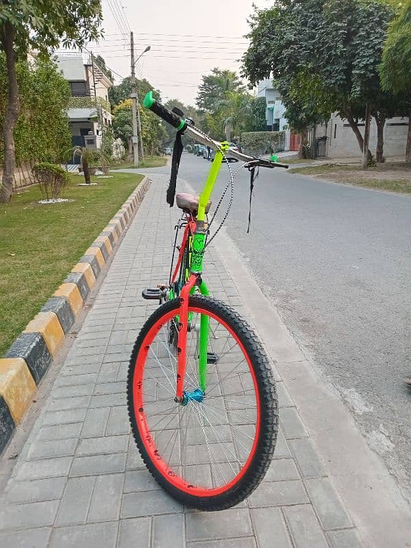 Phoenix bicycle: 9