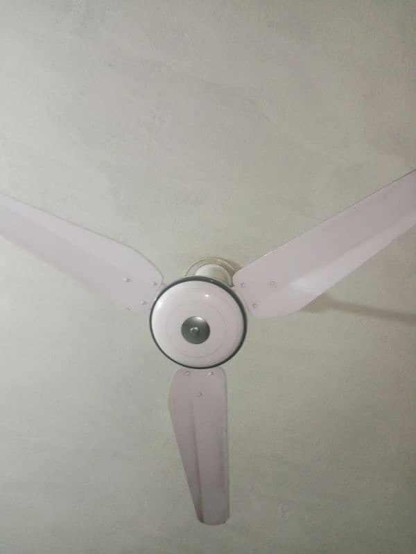 Fan in low price 1