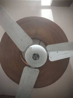 Fak Fan used Condition