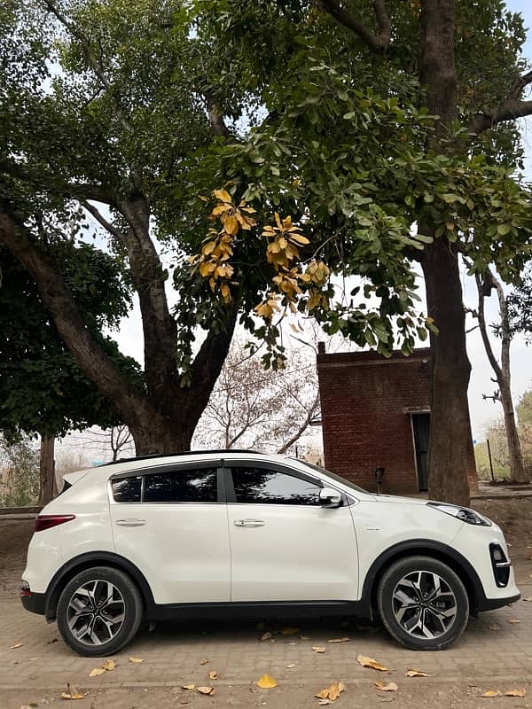 KIA Sportage 2022 2